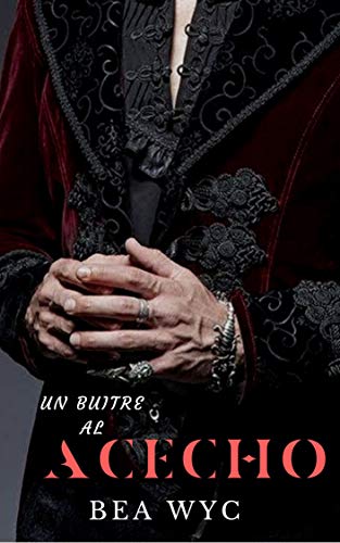 Un buitre al acecho (Kindle Edition)