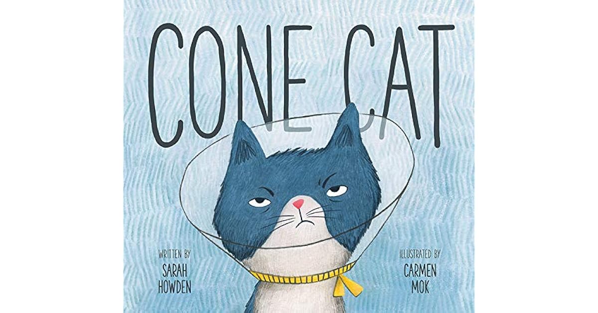 Cone Cat by Sarah Howden