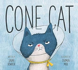 Capa do Livro Cone Cat