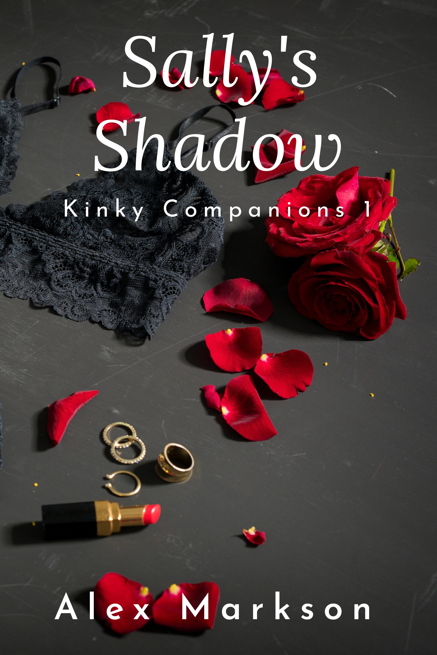 Sally’s Shadow (Kinky Companions, #1)