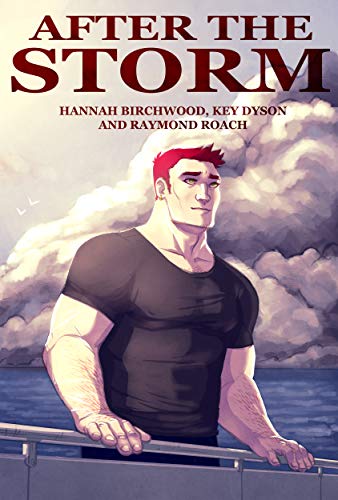 After the Storm (Kindle Edition)