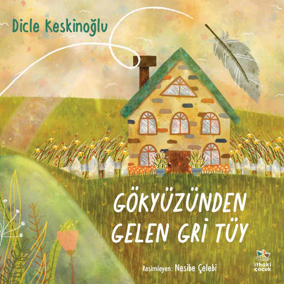 Gökyüzünden Gelen Gri Tüy (Paperback)