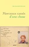 Morceaux Cassés d...