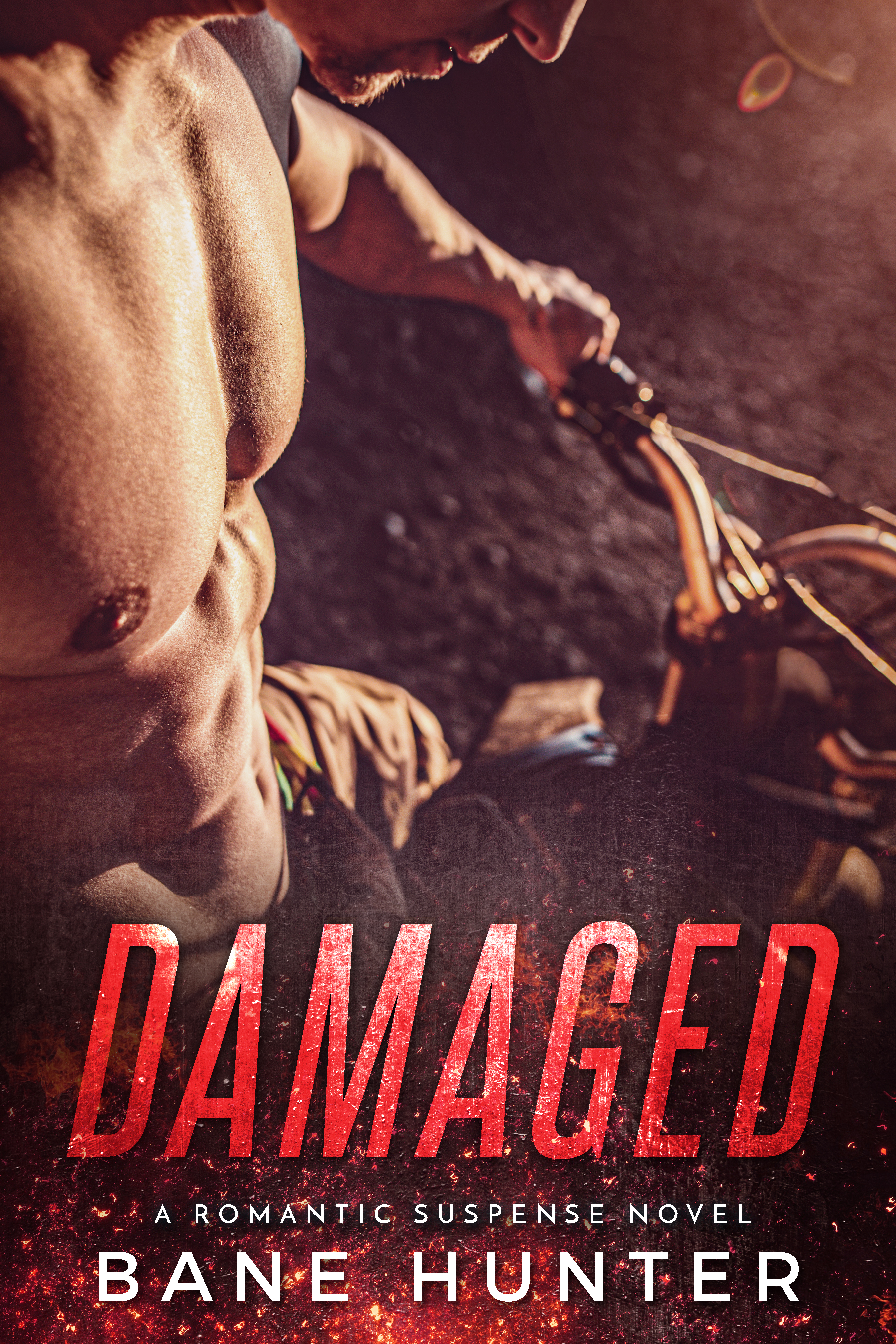Damaged (ebook)