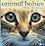 Animal Babies about the House by Vicky Weber