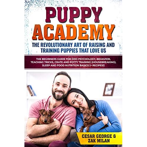 cesar potty training