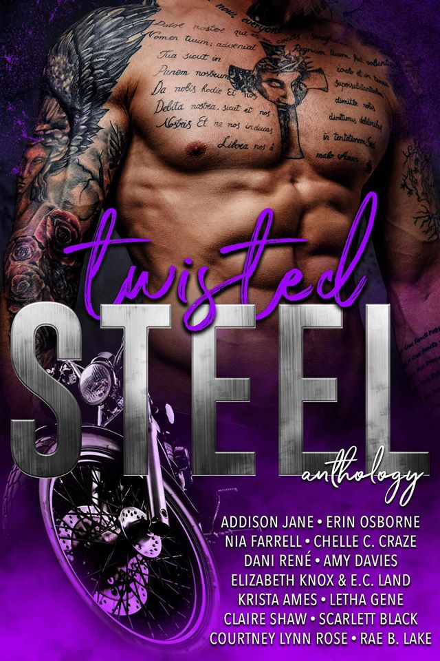 Twisted Steel (Kindle Edition)