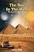 The Boy in The Well by Manal Faris