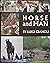 Horse and Man