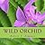 Wild Orchid