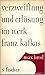 Verzweiflung und Erlösung im Werk Franz Kafkas