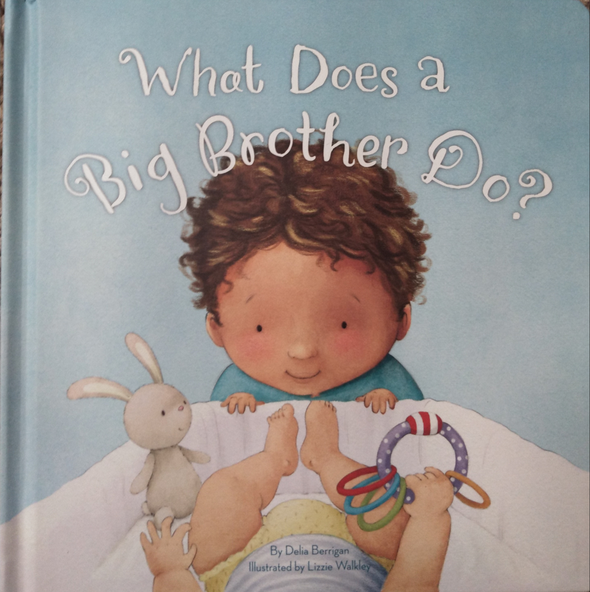 What Does a Big Brother Do? (Hardcover)