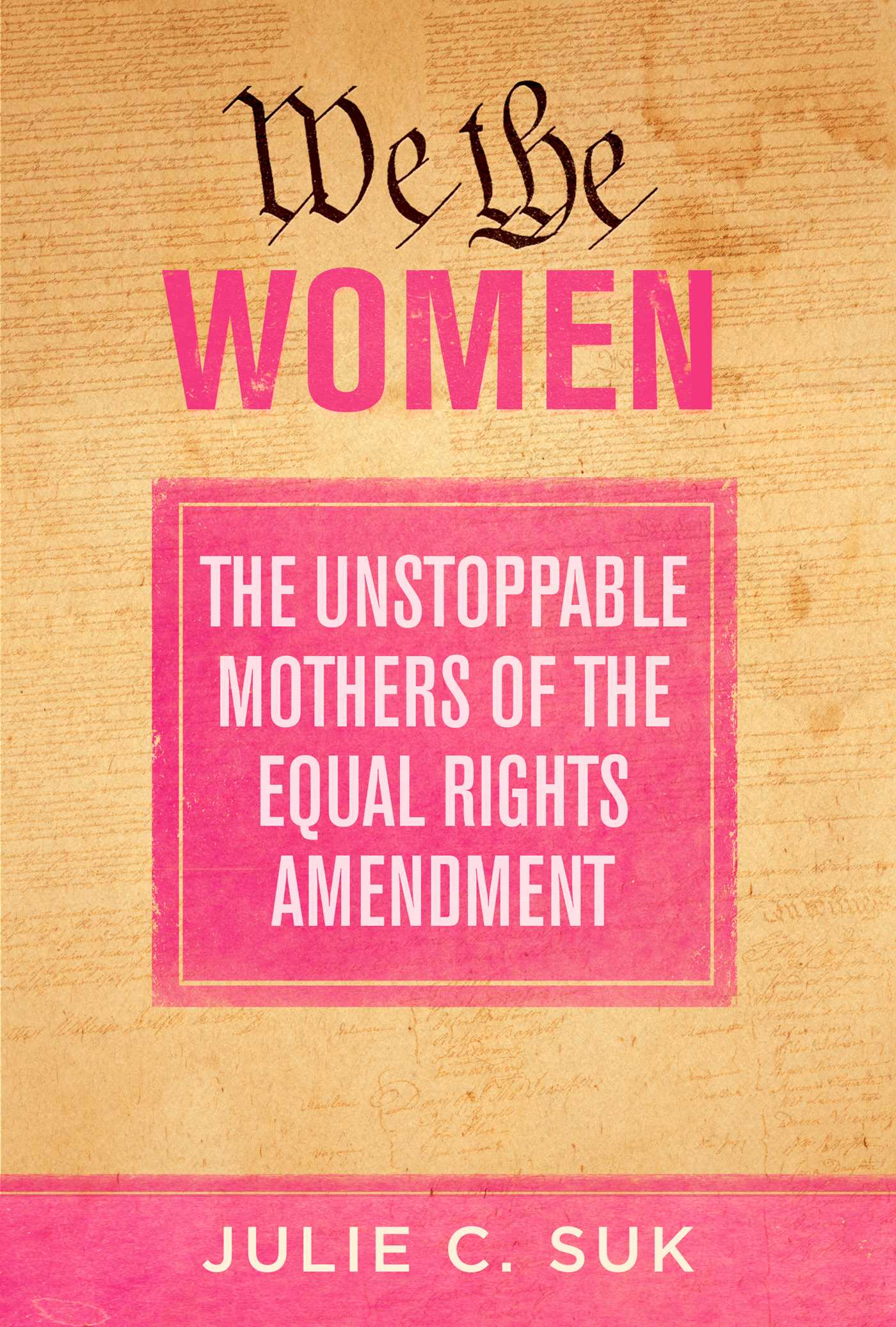 We the Women: The Unstoppable Mothers of the Equal Rights Amendment (Hardcover)