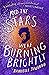 And The Stars Were Burning Brightly (And The Stars Were Burning Brightly, #1) by Danielle Jawando