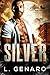 Silver: A Dragons of Veil V...