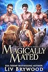 Magically Mated (Bonfire Falls #1-4)
