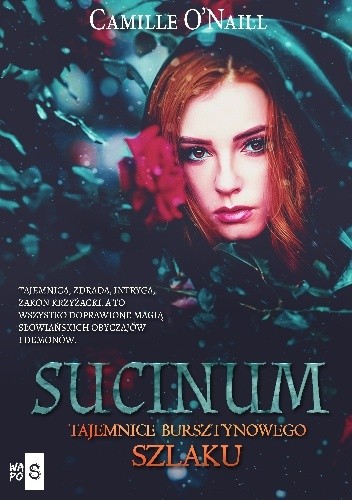 Sucinum. Tajemnice bursztynowego szlaku (Paperback)