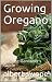 Growing Oregano by albert swope