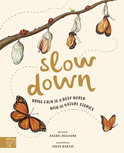 Slow Down (Hardcover)
