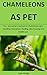Chameleons As Pet: The pet ...