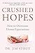 Crushed Hopes by Jim Stout
