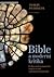 Bible a moderní kritika
