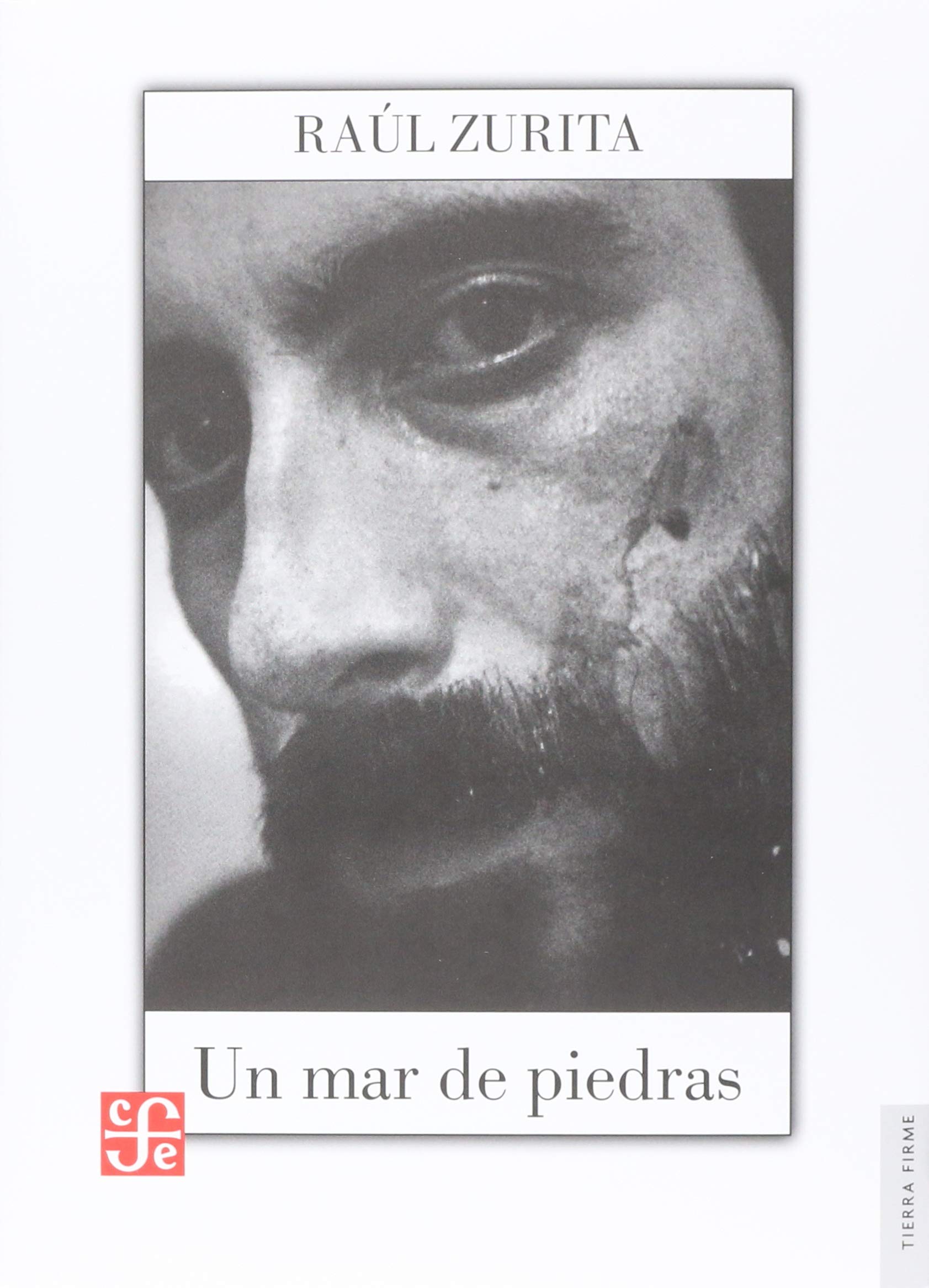 Un mar de piedras (Paperback)