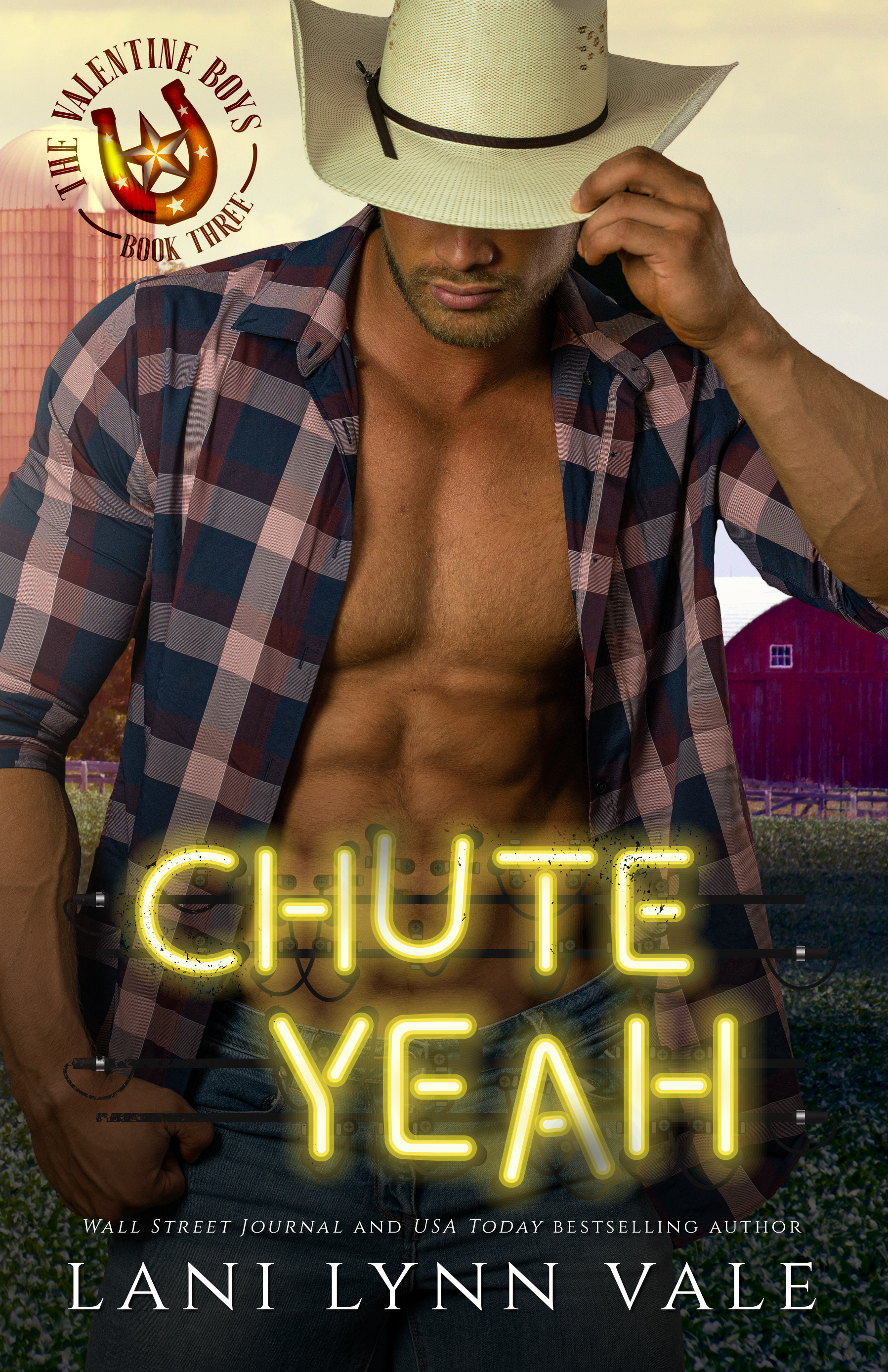 Chute Yeah (The Valentine Boys, #3)
