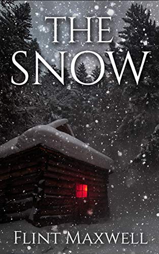 The Snow (Whiteout, #1)