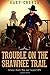 Trouble on the Shawnee Trail, 1872 (Johnny Black #2)