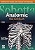 Sobotta Lehrbuch Anatomie