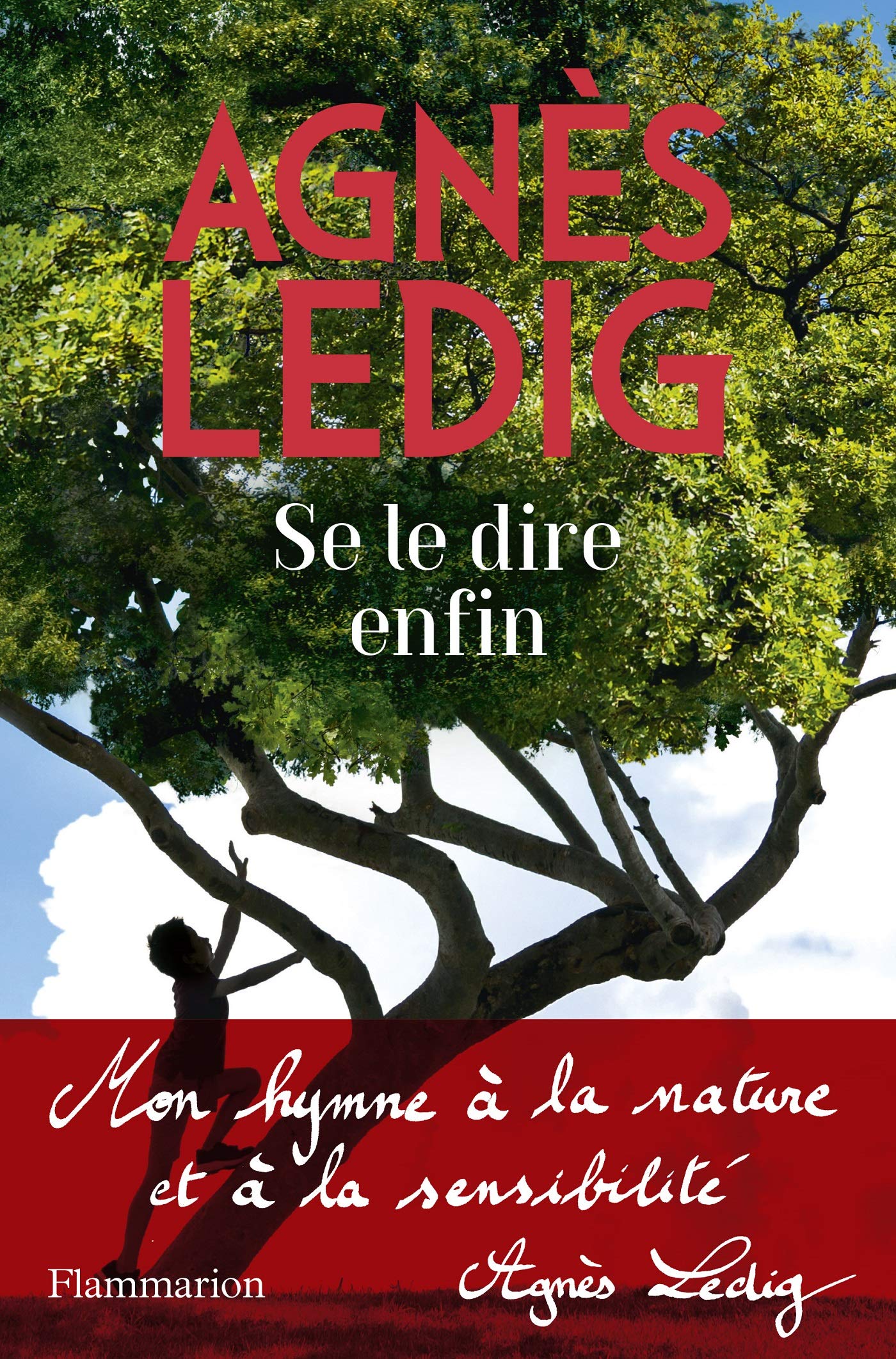 Se le dire enfin (Paperback)