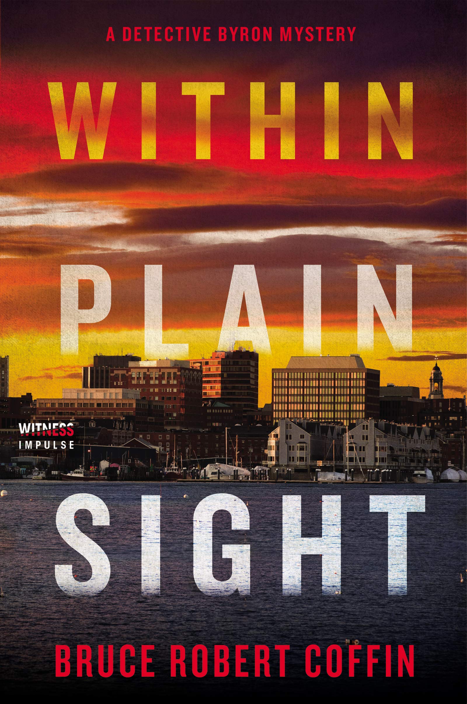 Within Plain Sight (Detective Byron, #4)