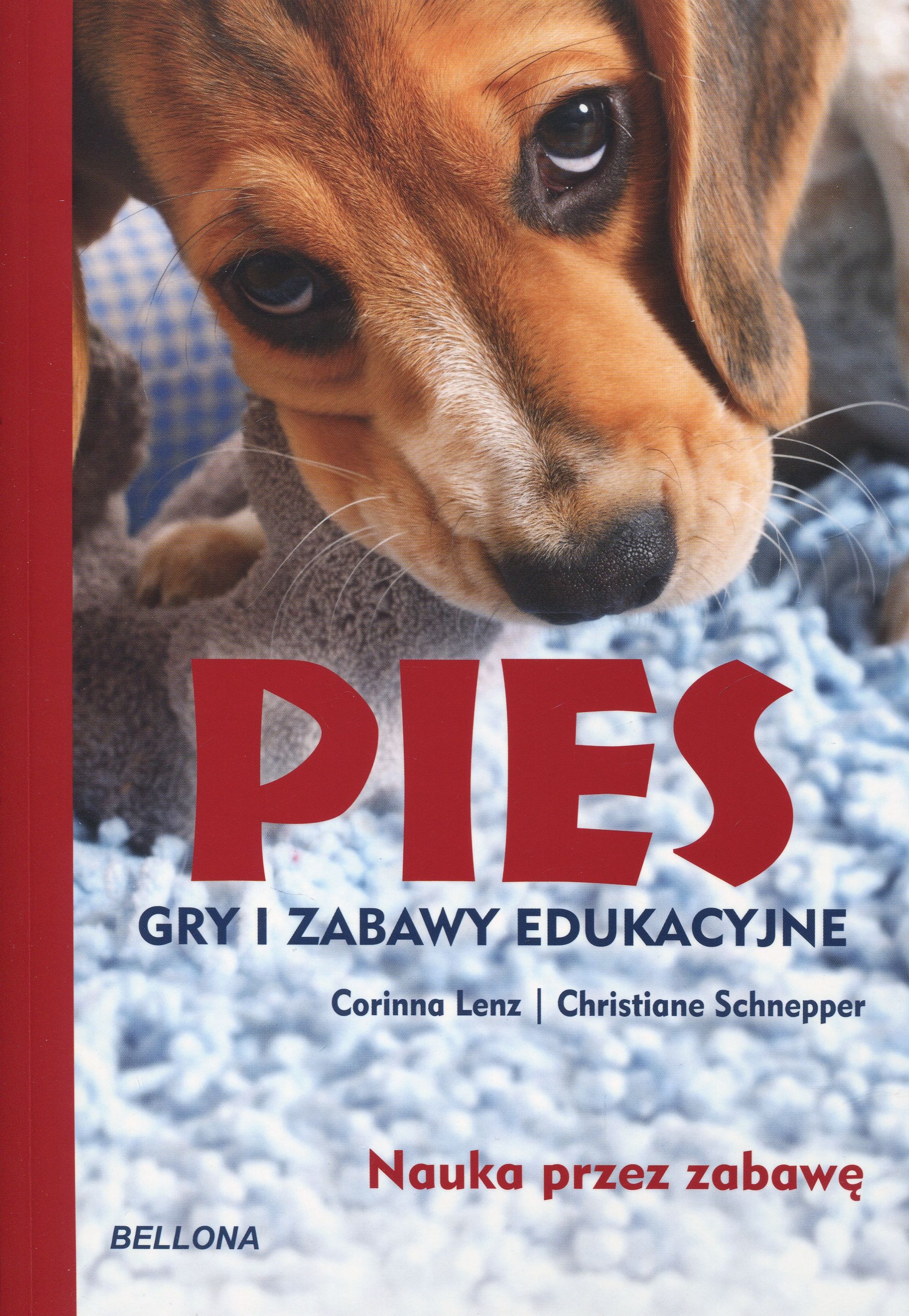 Pies. Gry i zabawy edukacyjne