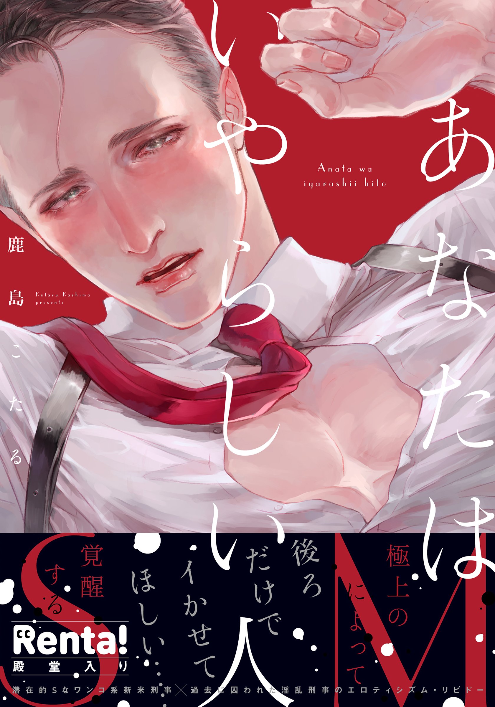 あなたはいやらしい人 (Anata wa iyarashii Hito) | You're So Lewd