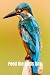 Feed the Birds Day: Great G...