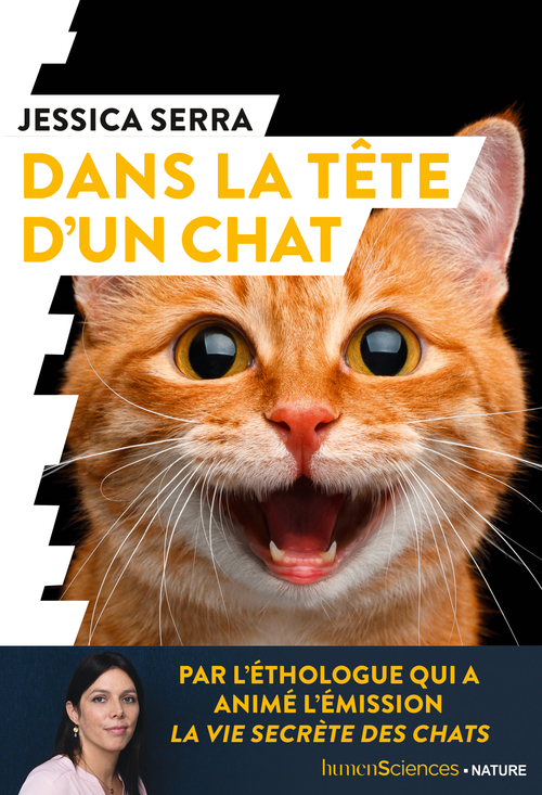 Dans la tête d'un chat (Paperback)