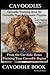 Cavoodles, Cavoodle Trainin...
