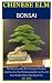Chinese Elm Bonsai: The Man...