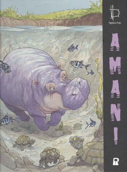 Amani (Hardcover)