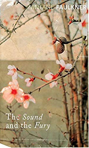 The Sound and the Fury.A Novel