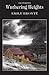 Wuthering Heights Illustrated