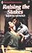 Raising the Stakes (Harlequin Superromance No. 460)