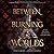 Between Burning Worlds (System Divine, #2)