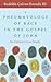 A Pneumatology of Race in the Gospel of John by Rodolfo Galvan III Estrada
