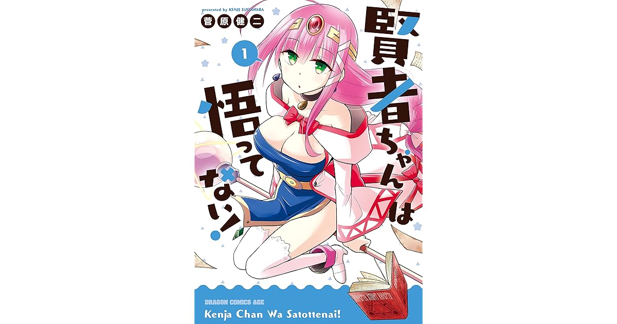 賢者ちゃんは悟ってない 1 ドラゴンコミックスエイジ By 菅原 健二
