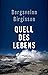 Quell des Lebens by Bergsveinn Birgisson