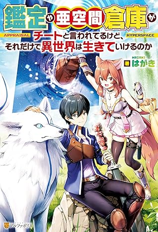 Ss付き 鑑定や亜空間倉庫がチートと言われてるけど それだけで異世界は生きていけるのか By はがき