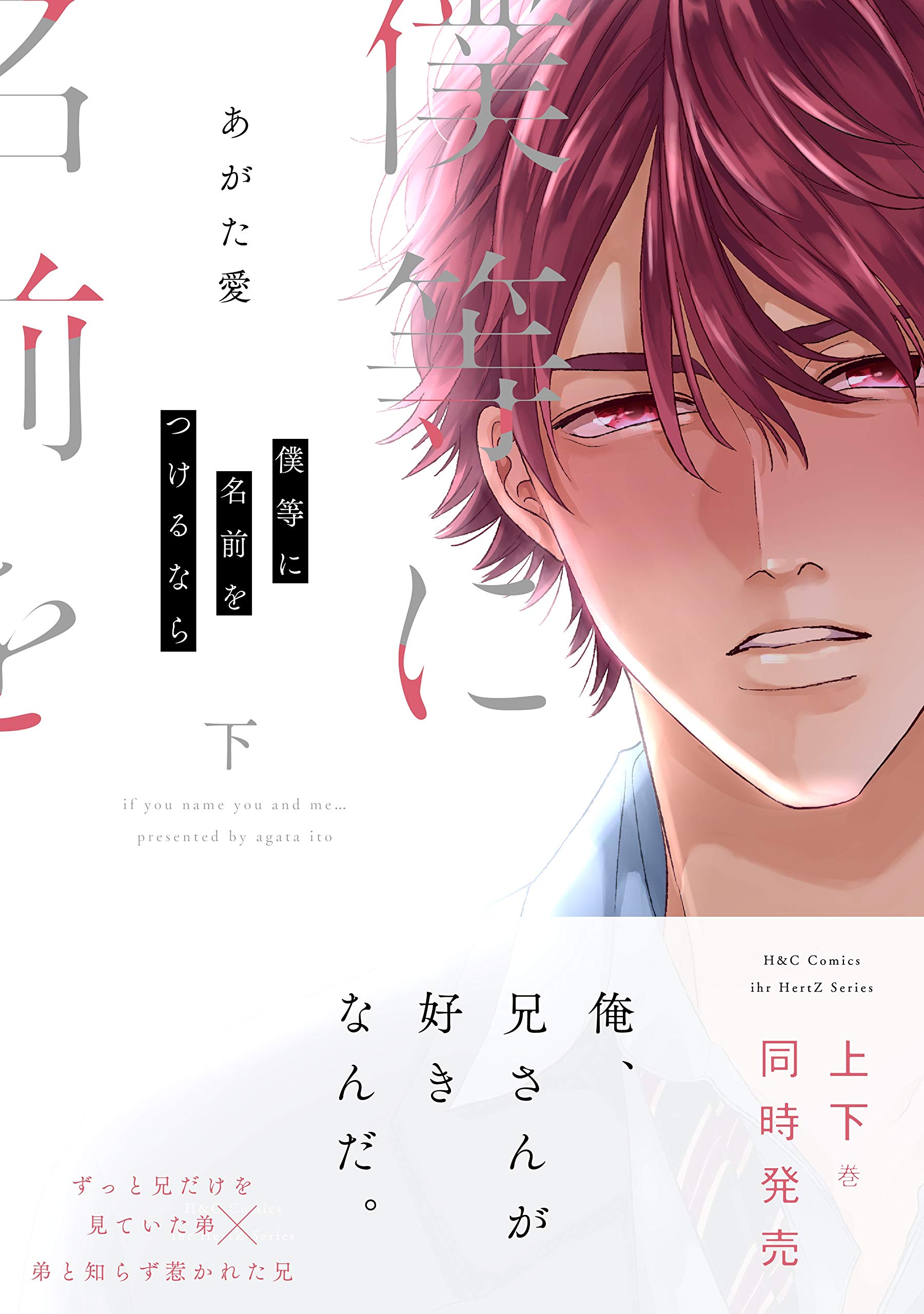 僕等に名前をつけるなら 下 [Bokura ni Namae o Tsukeru Nara 2] (Paperback)