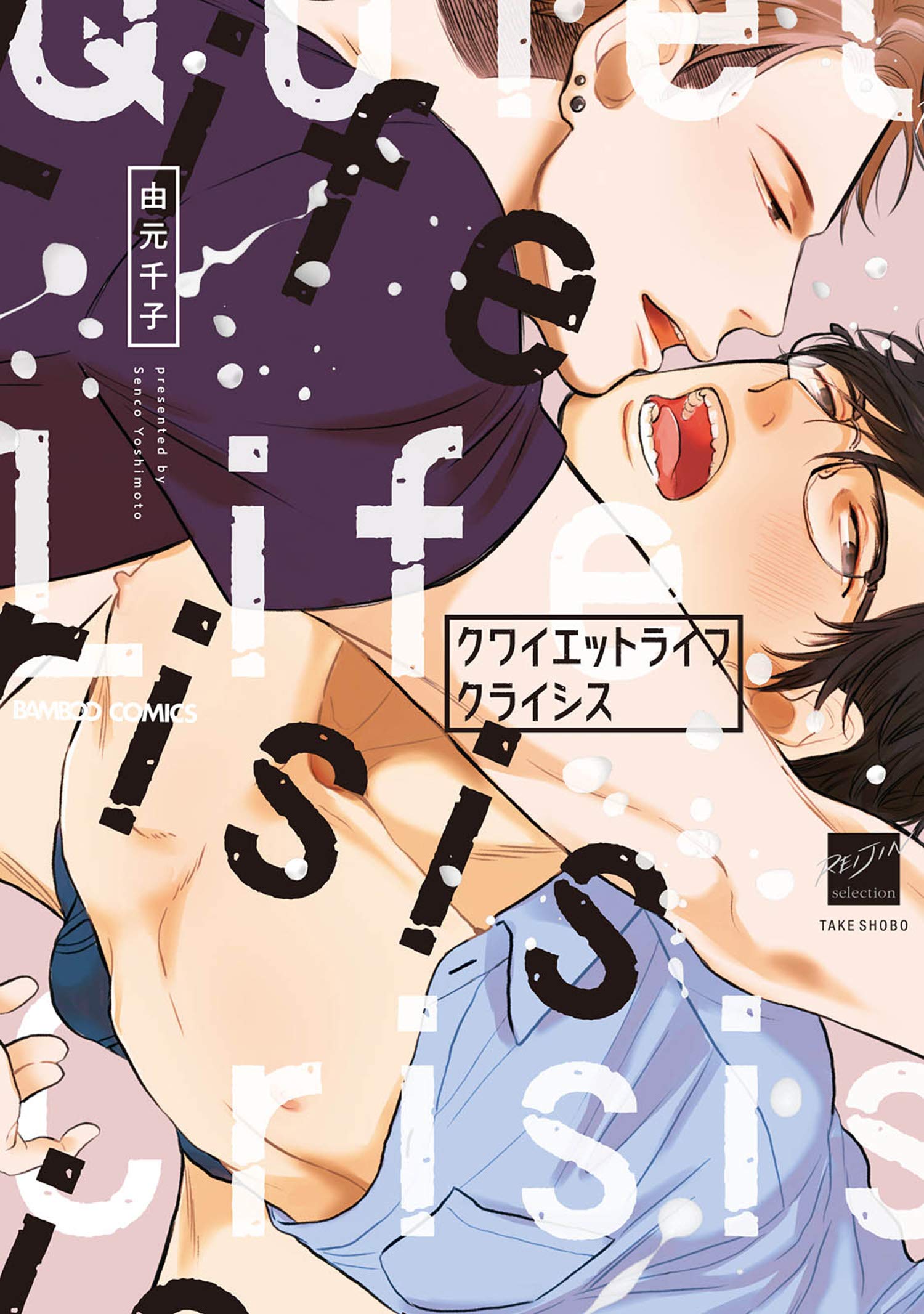 クワイエットライフクライシス 【電子限定特典付き】 (バンブーコミックス 麗人セレクション) (Japanese Edition)
